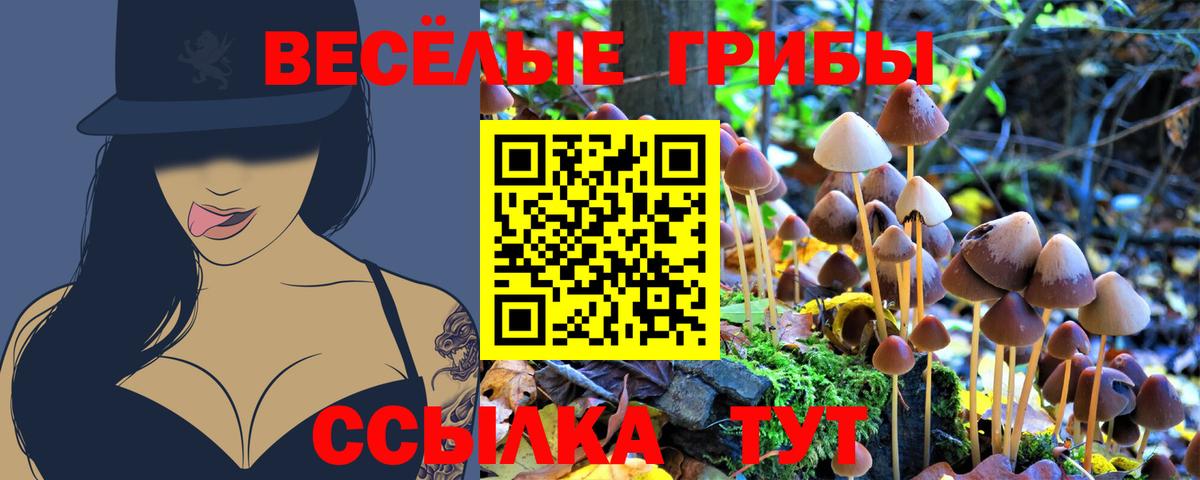 Псилоцибиновые грибы Psilocybine cubensis Егорьевск
