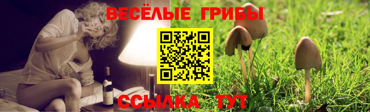 даркнет сайт  Псилоцибиновые грибы прущие грибы  Вход с VPN  Егорьевск 